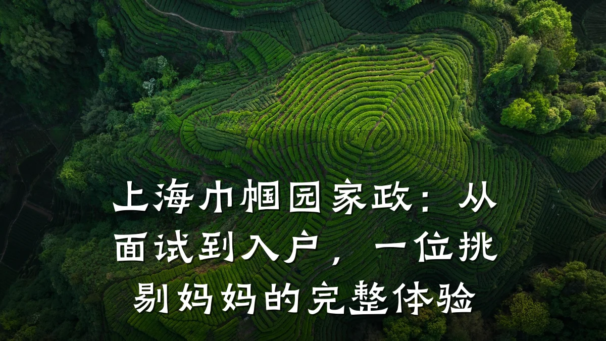 上海巾帼园家政:从面试到入户,一位挑剔妈妈的完整体验