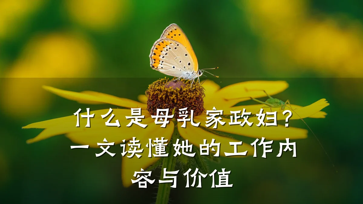 什么是母乳家政妇?一文读懂她的工作内容与价值