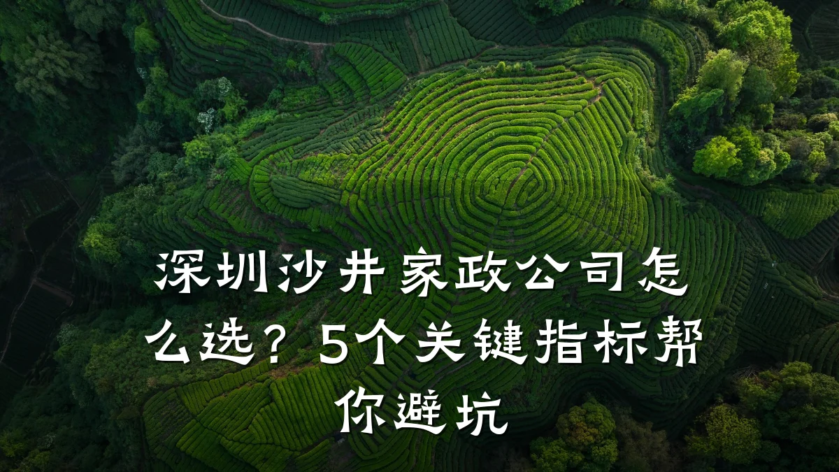 深圳沙井家政公司怎么选?5个关键指标帮你避坑
