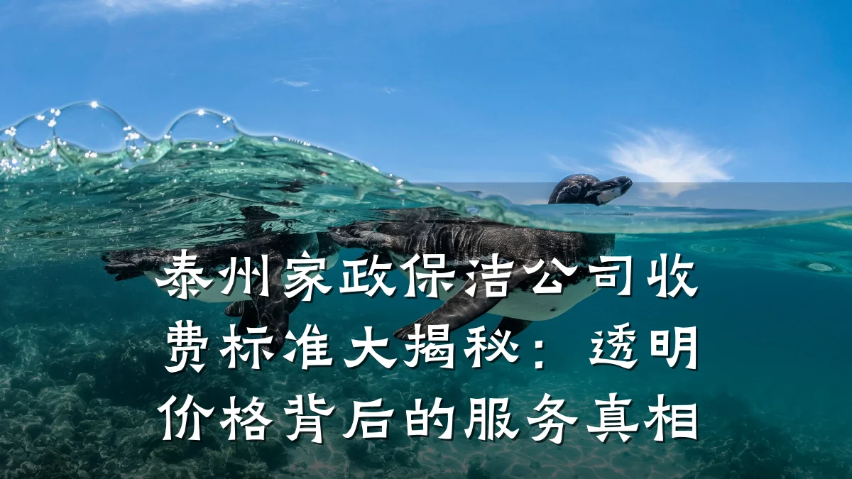 泰州家政保洁公司收费标准大揭秘：透明价格背后的服务真相