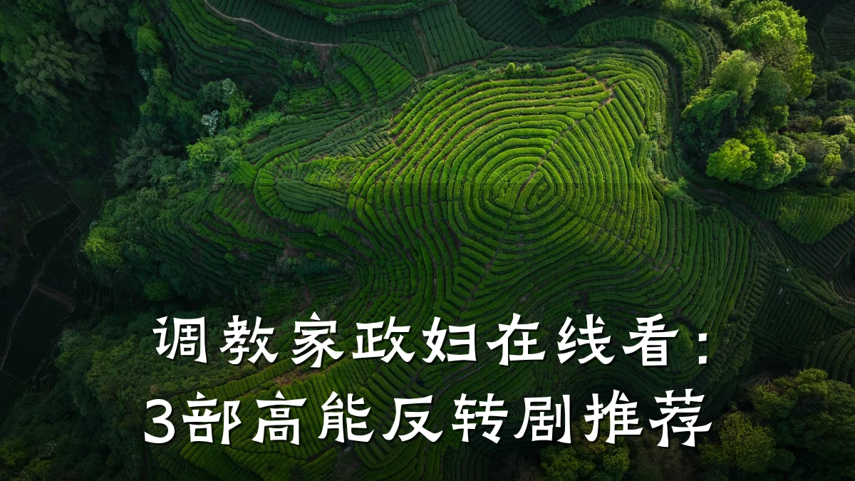 调教家政妇在线看:3部高能反转剧推荐
