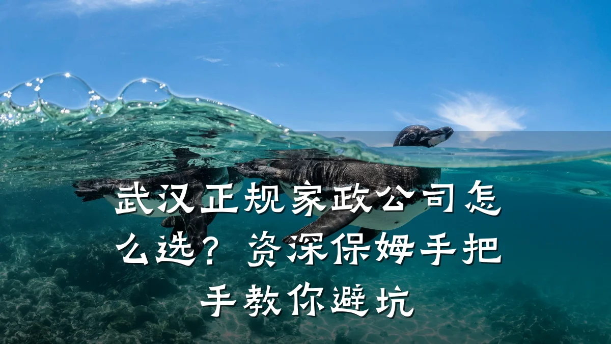 武汉正规家政公司怎么选?资深保姆手把手教你避坑