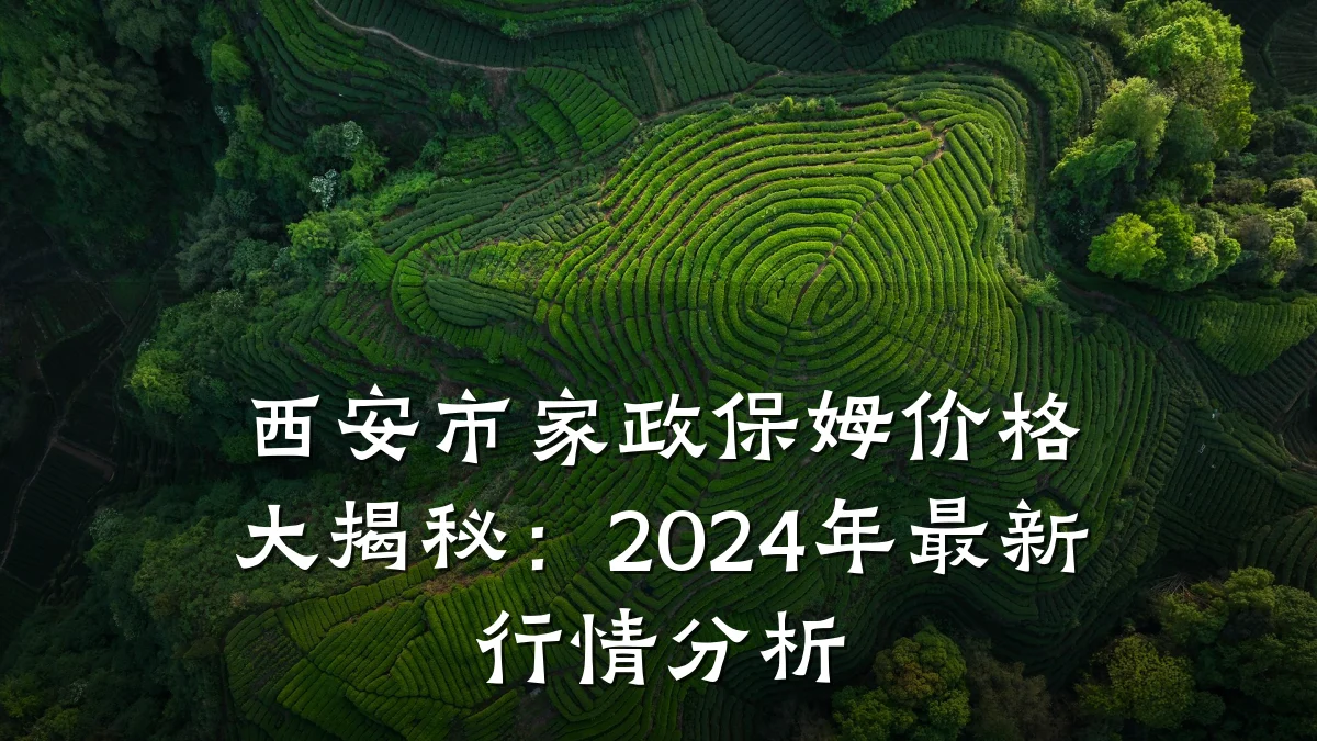西安市家政保姆价格大揭秘：2024年最新行情分析