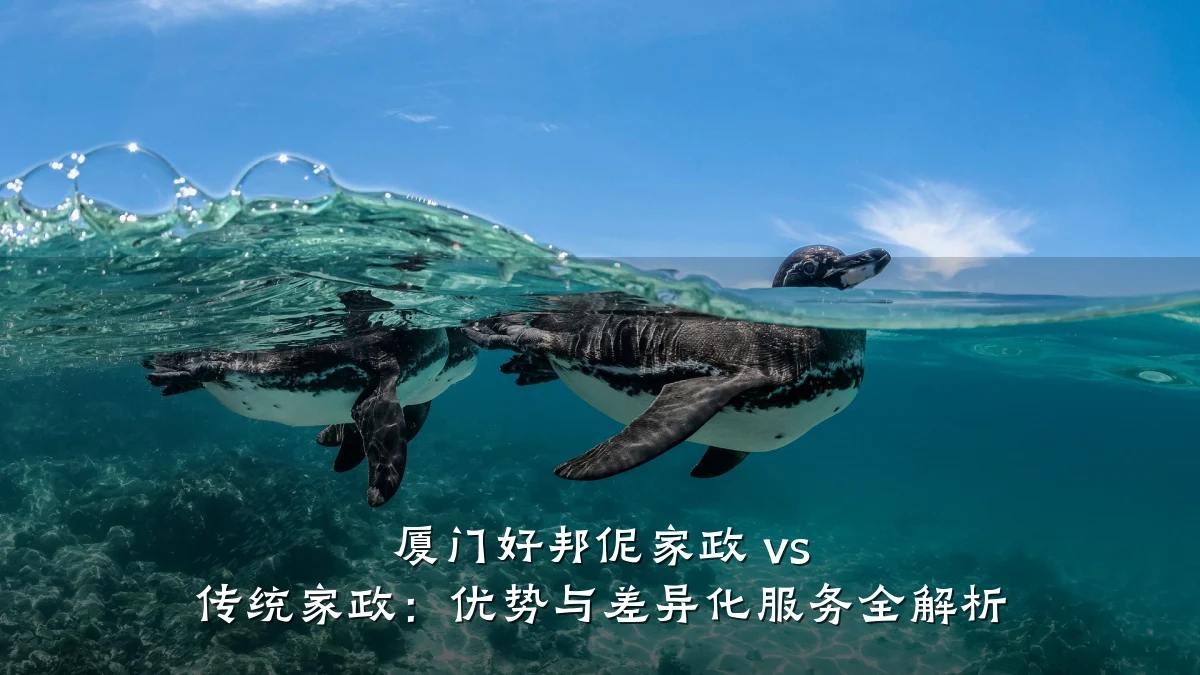 厦门好邦伲家政 vs 传统家政:优势与差异化服务全解析