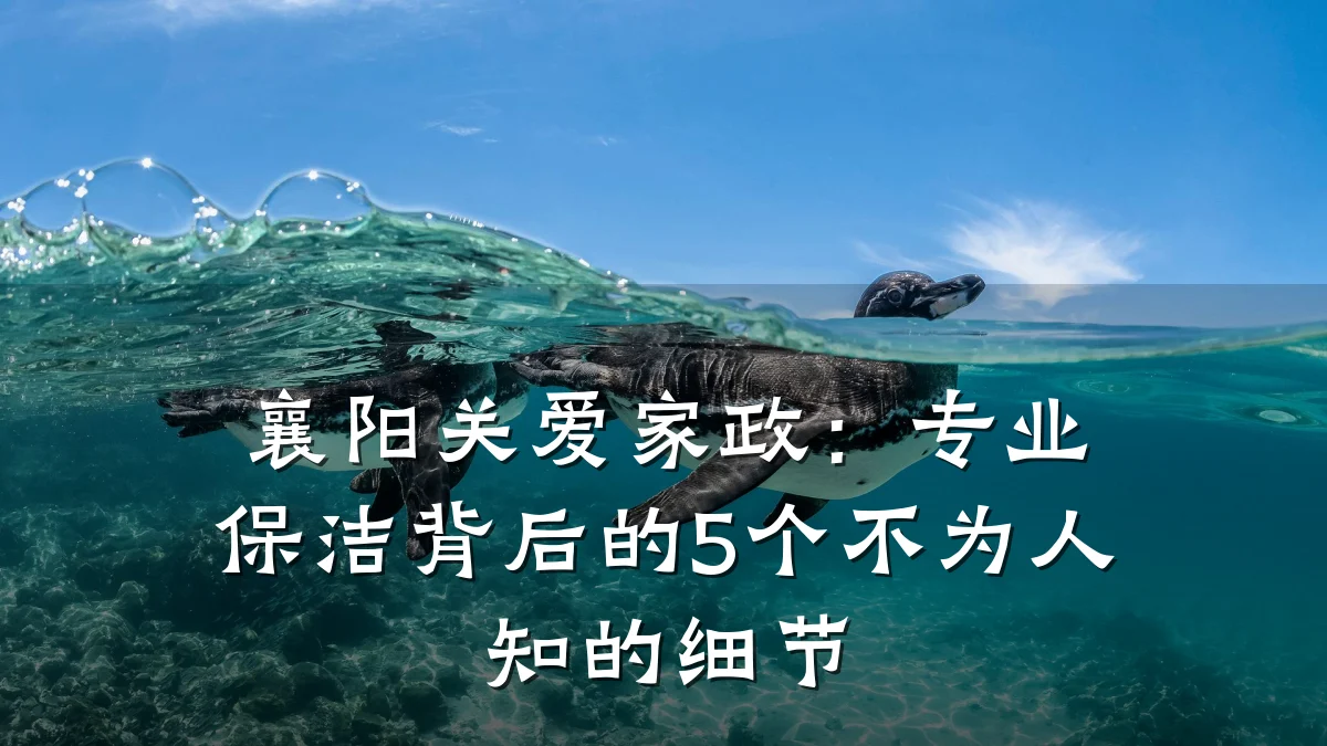 襄阳关爱家政:专业保洁背后的5个不为人知的细节