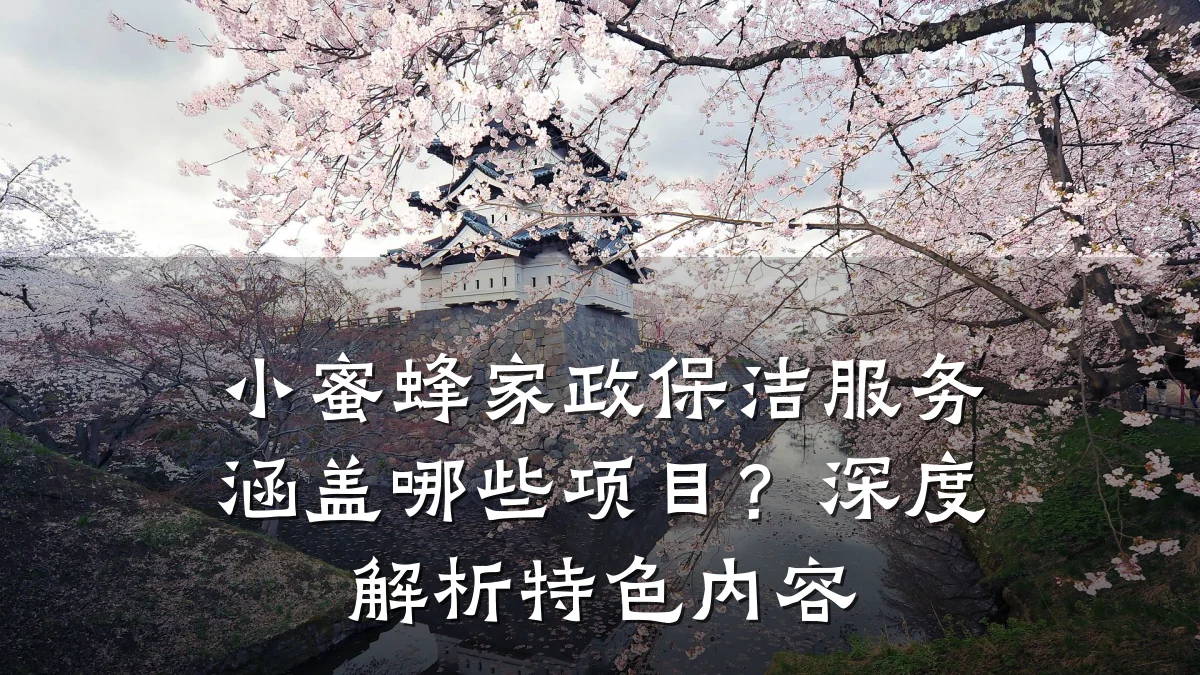 小蜜蜂家政保洁服务涵盖哪些项目？深度解析特色内容