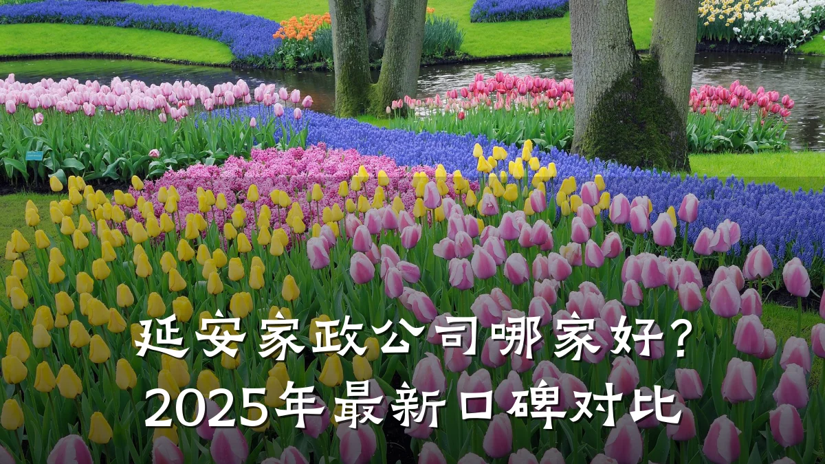 延安家政公司哪家好?2025年最新口碑对比