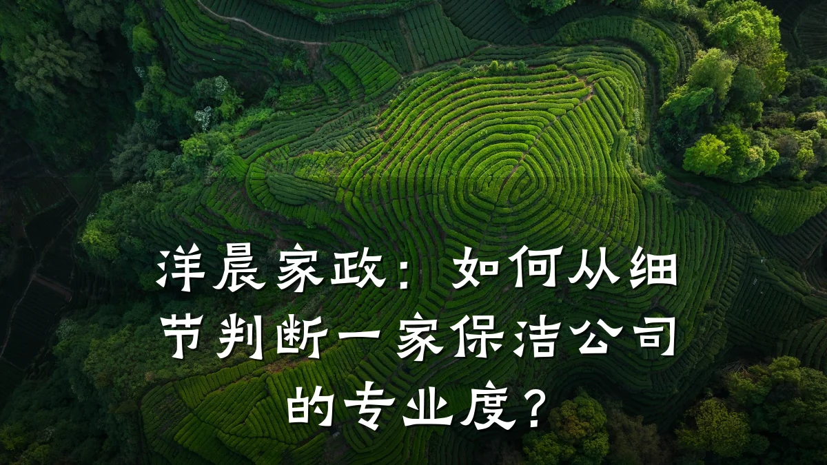 洋晨家政:如何从细节判断一家保洁公司的专业度?