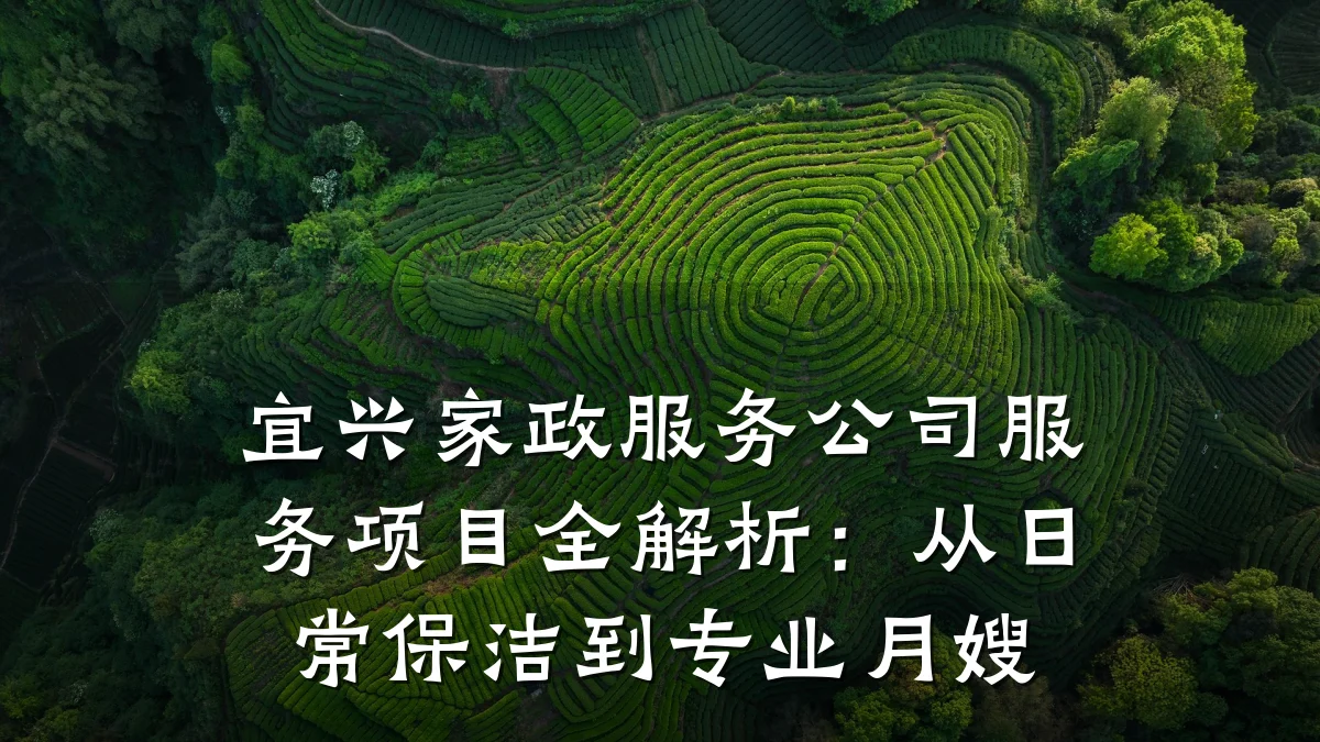 宜兴家政服务公司服务项目全解析：从日常保洁到专业月嫂