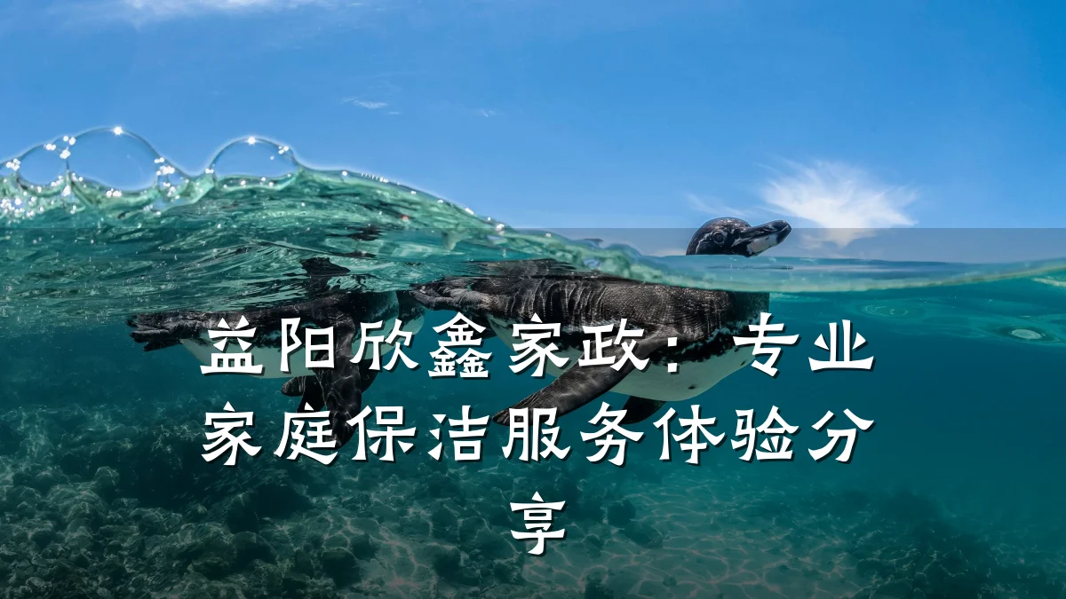 益阳欣鑫家政:专业家庭保洁服务体验分享