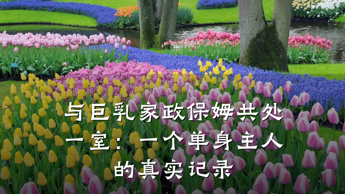 与巨乳家政保姆共处一室:一个单身主人的真实记录
