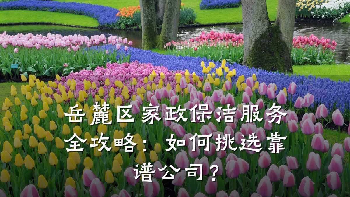 岳麓区家政保洁服务全攻略:如何挑选靠谱公司?