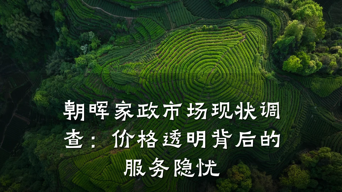 朝晖家政市场现状调查:价格透明背后的服务隐忧