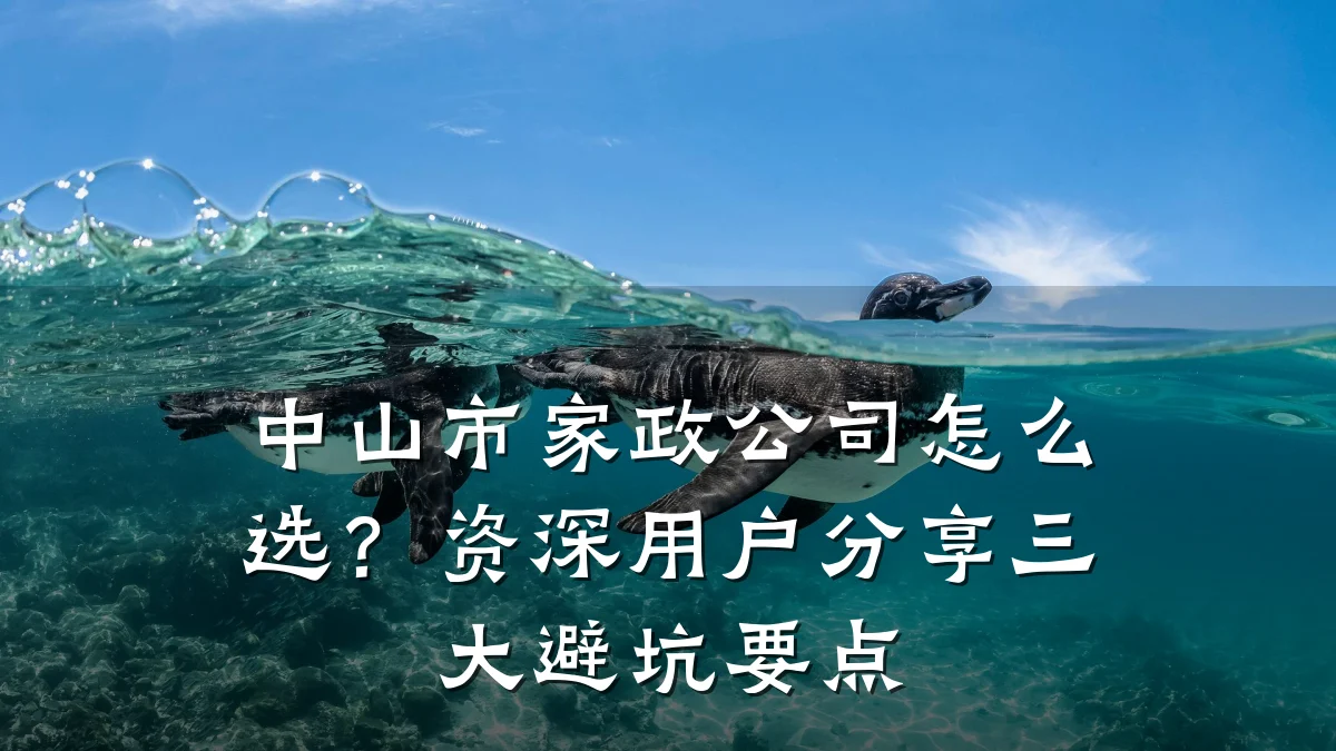 中山市家政公司怎么选?资深用户分享三大避坑要点