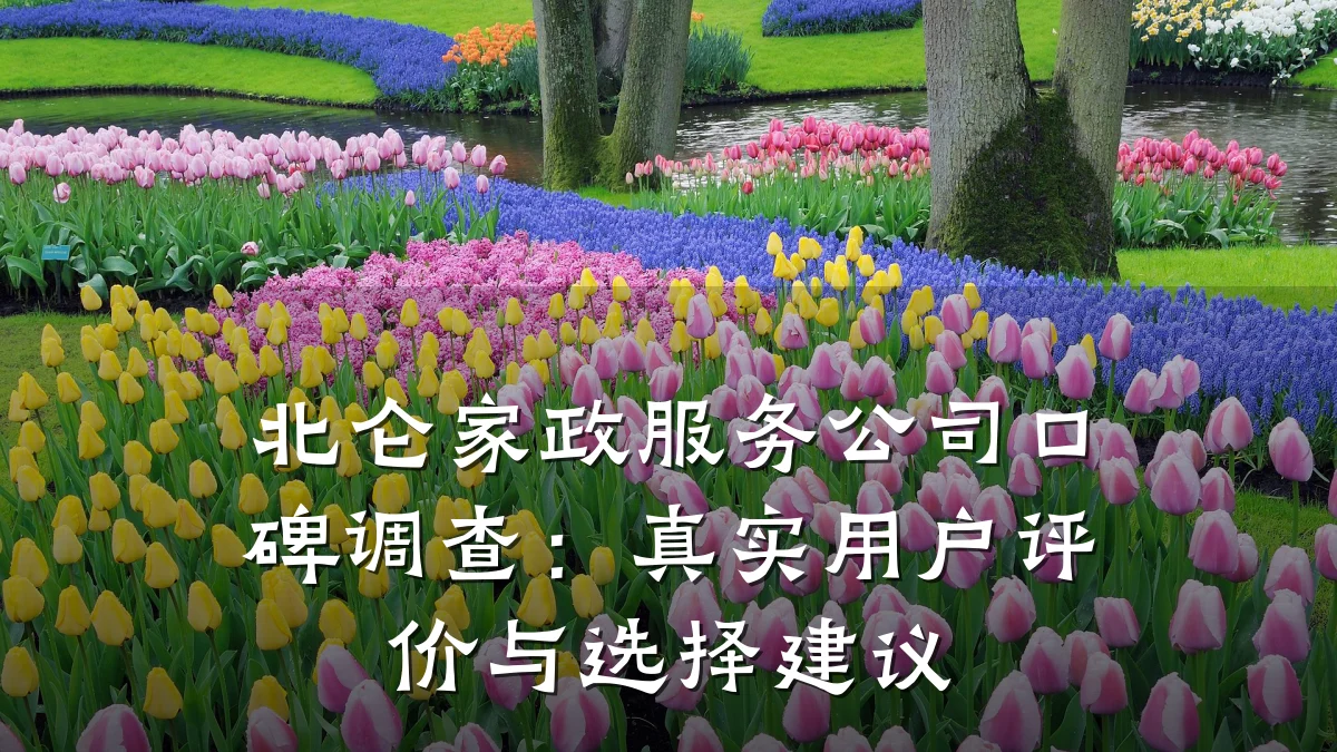 北仑家政服务公司口碑调查:真实用户评价与选择建议