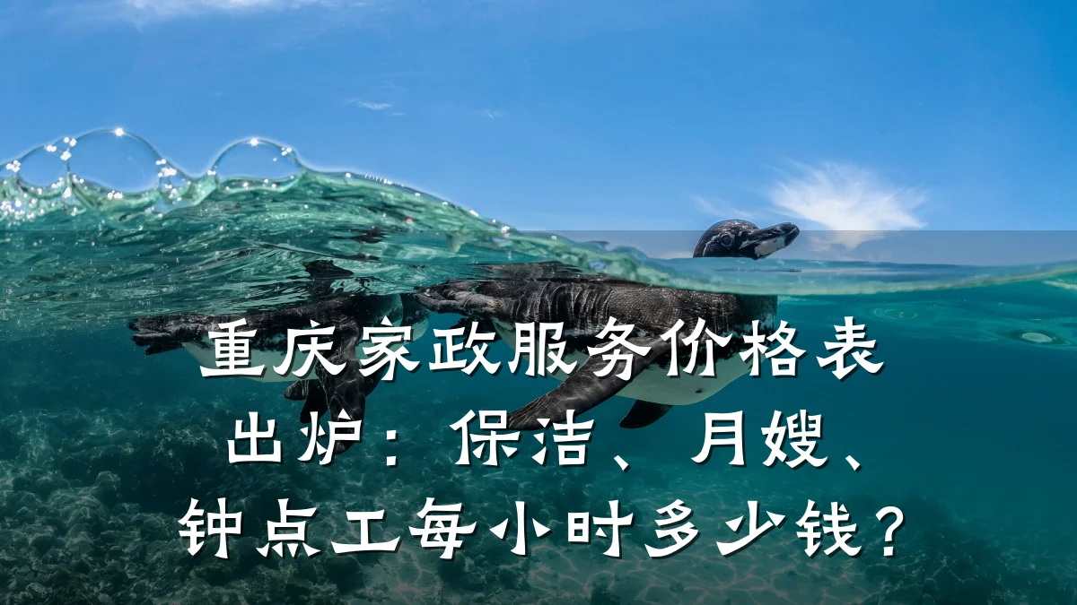 重庆家政服务价格表出炉:保洁、月嫂、钟点工每小时多少钱?