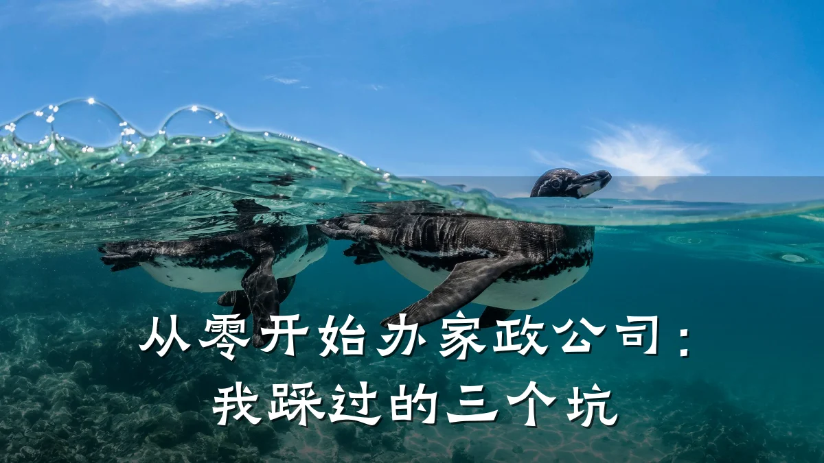 从零开始办家政公司:我踩过的三个坑