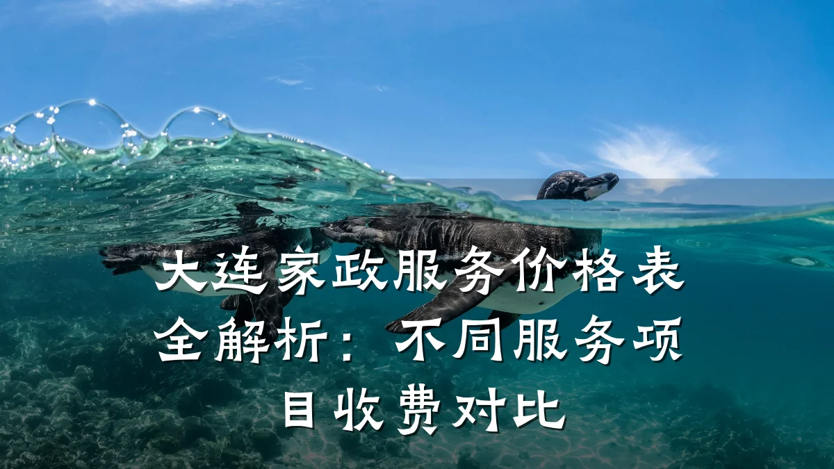 大连家政服务价格表全解析:不同服务项目收费对比