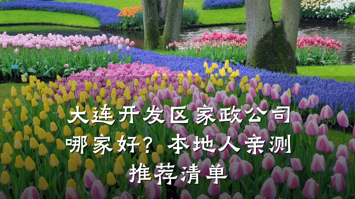 大连开发区家政公司哪家好?本地人亲测推荐清单