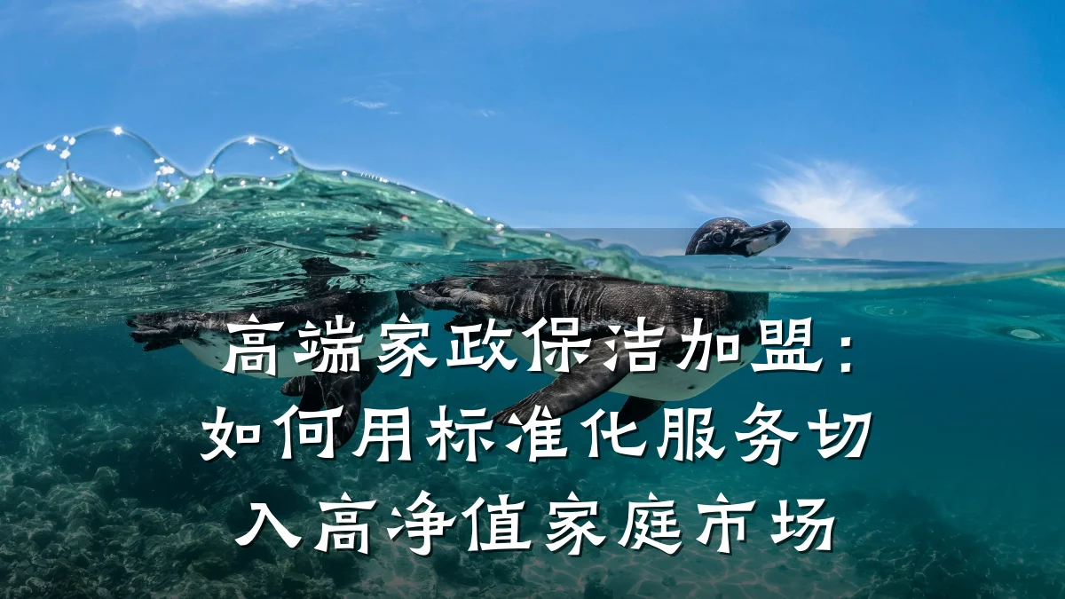 高端家政保洁加盟:如何用标准化服务切入高净值家庭市场