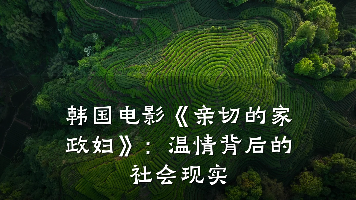 韩国电影《亲切的家政妇》:温情背后的社会现实