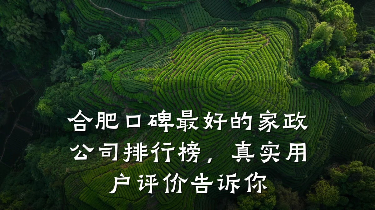 合肥口碑最好的家政公司排行榜,真实用户评价告诉你