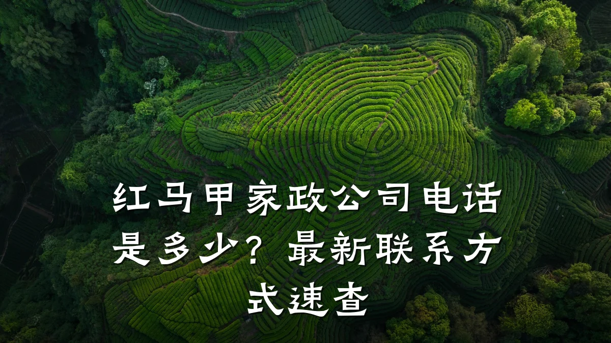 红马甲家政公司电话是多少？最新联系方式速查