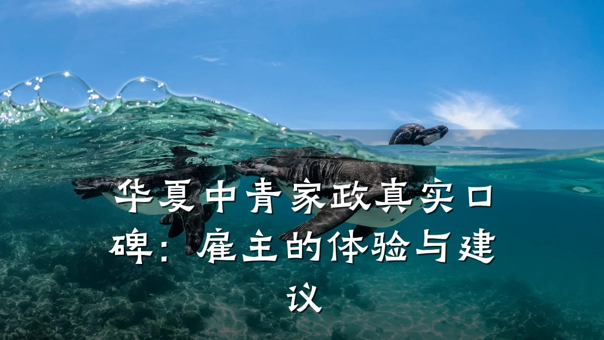 华夏中青家政真实口碑:雇主的体验与建议