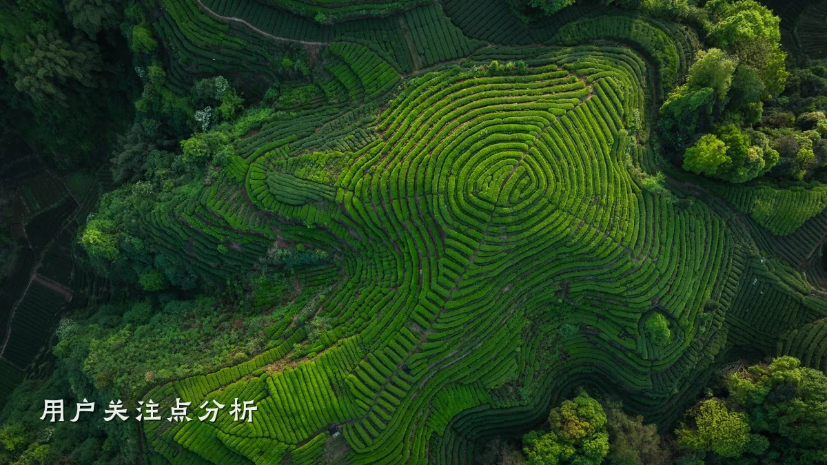 用户关注点分析