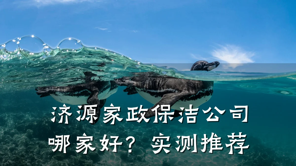 济源家政保洁公司哪家好?实测推荐
