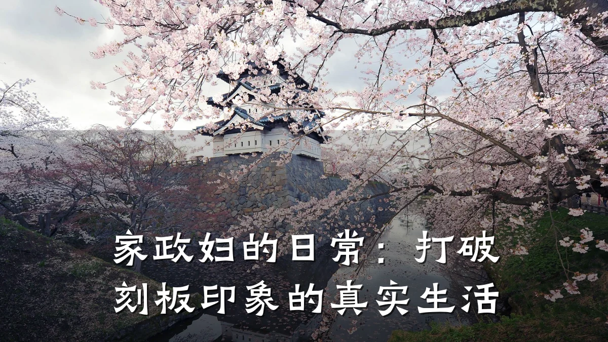 家政妇的日常:打破刻板印象的真实生活