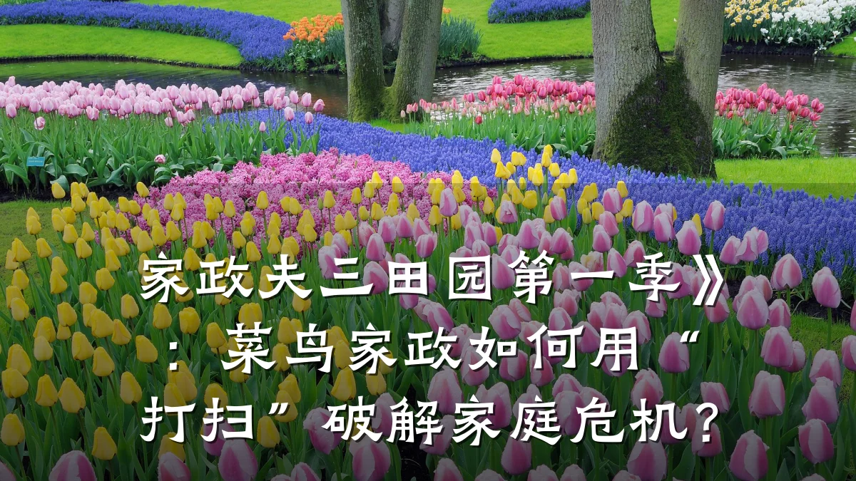 家政夫三田园第一季》:菜鸟家政如何用“打扫”破解家庭危机?