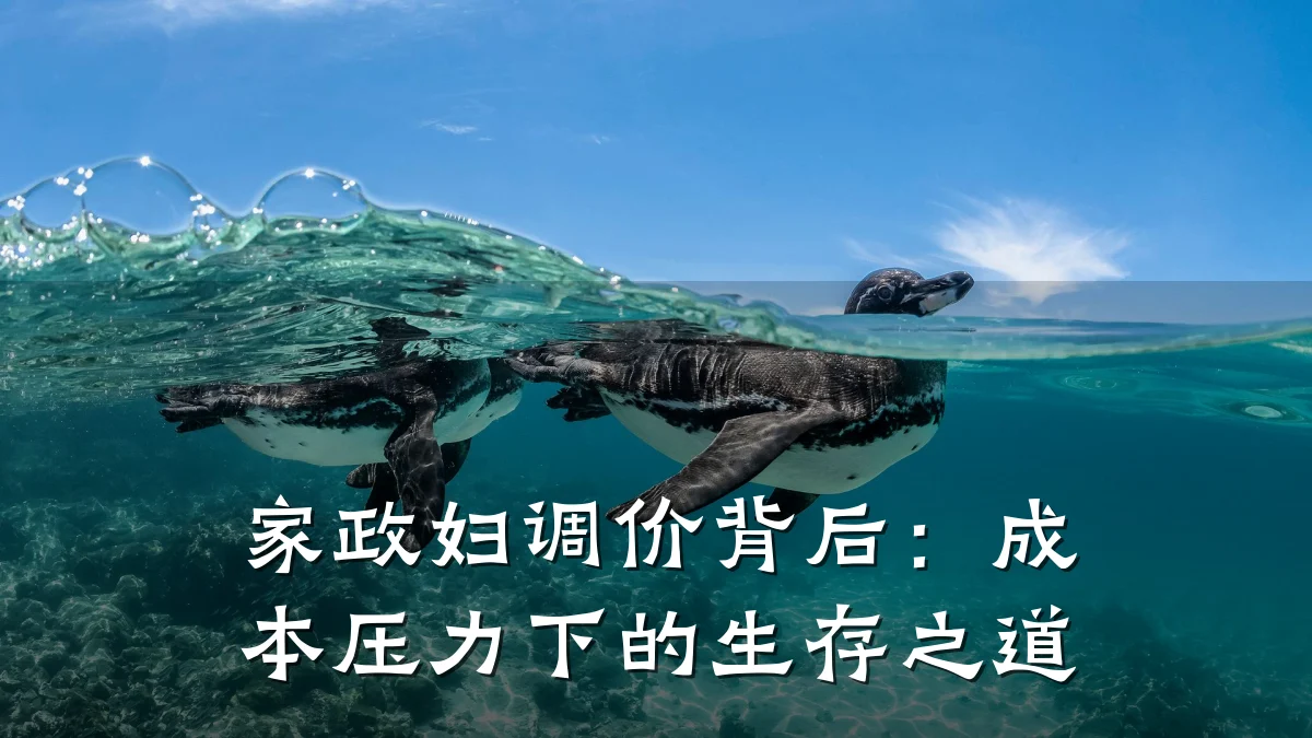 家政妇调价背后:成本压力下的生存之道