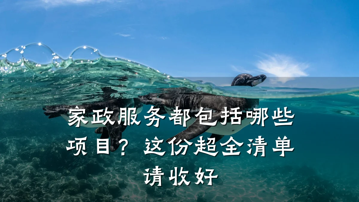 家政服务都包括哪些项目?这份超全清单请收好