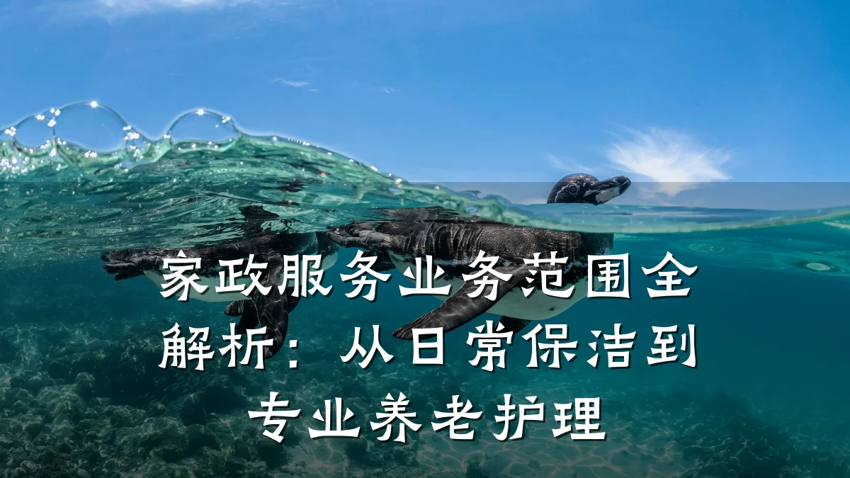 家政服务业务范围全解析:从日常保洁到专业养老护理
