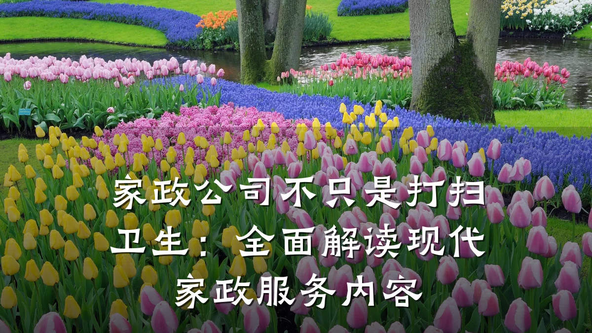 家政公司不只是打扫卫生:全面解读现代家政服务内容