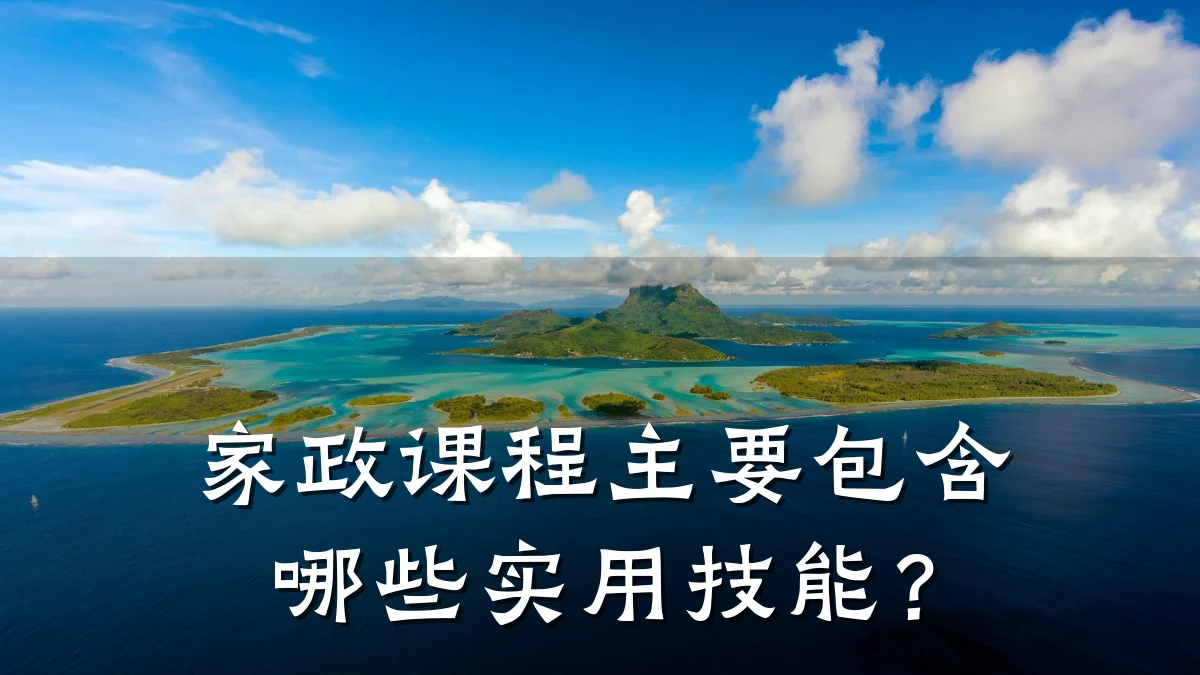 家政课程主要包含哪些实用技能?