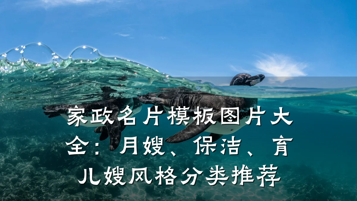 家政名片模板图片大全：月嫂、保洁、育儿嫂风格分类推荐