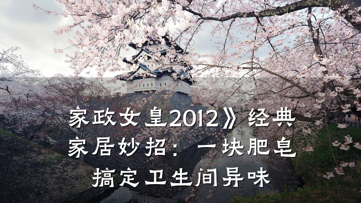 家政女皇2012》经典家居妙招:一块肥皂搞定卫生间异味