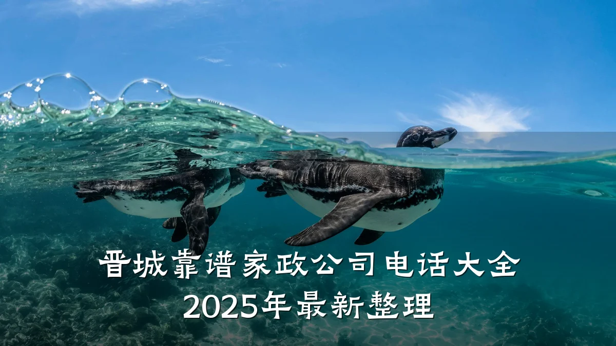 晋城靠谱家政公司电话大全 2025年最新整理