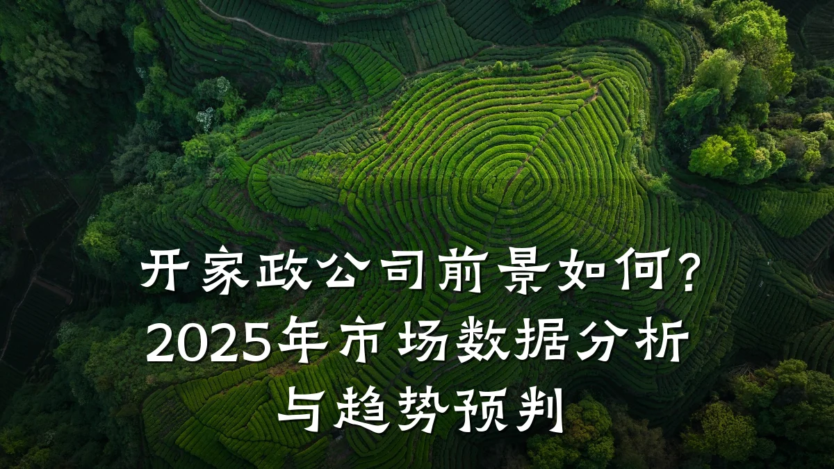 开家政公司前景如何?2025年市场数据分析与趋势预判