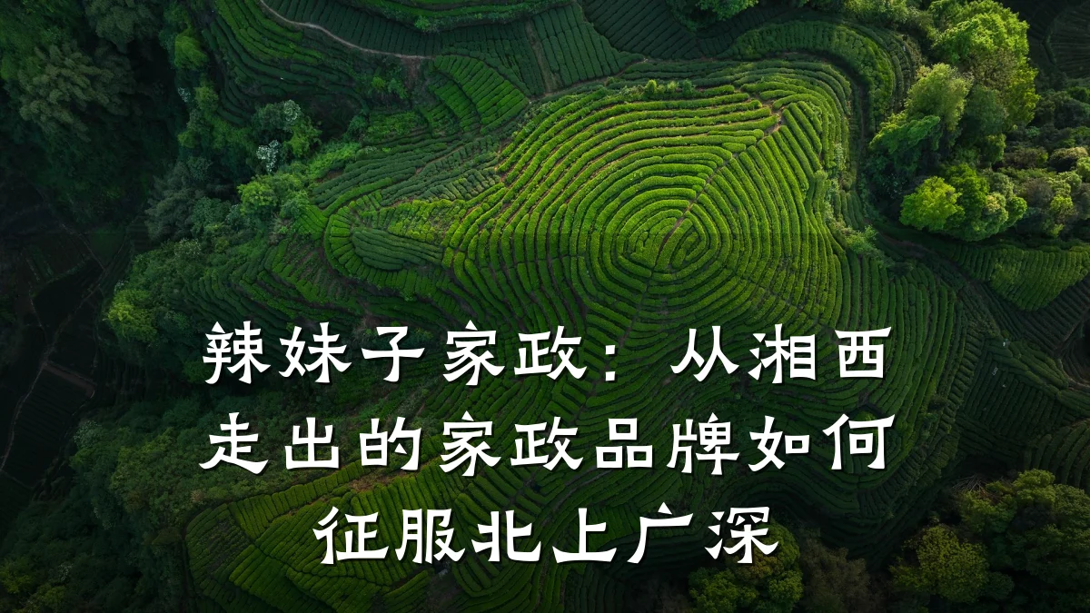 辣妹子家政：从湘西走出的家政品牌如何征服北上广深