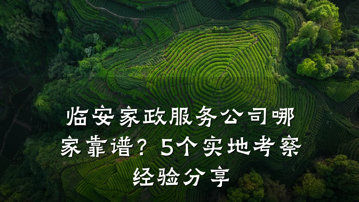 临安家政服务公司哪家靠谱?5个实地考察经验分享