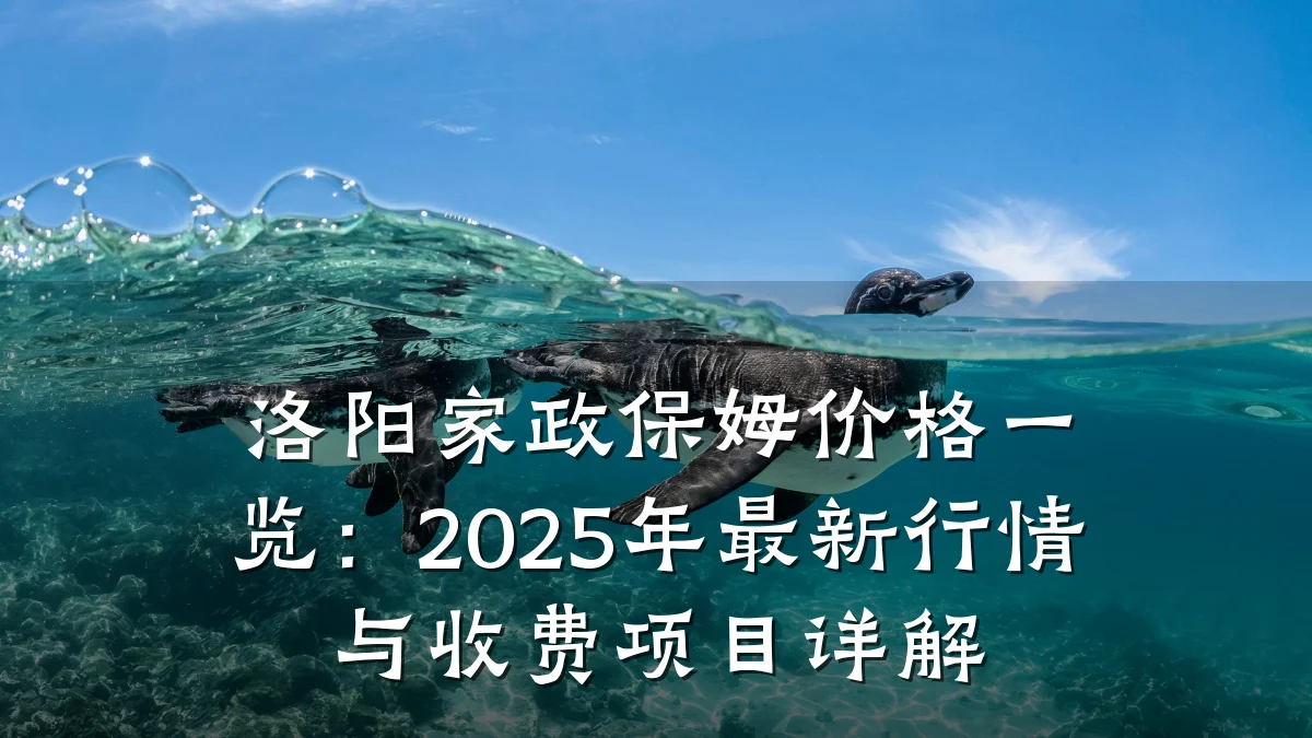 洛阳家政保姆价格一览:2025年最新行情与收费项目详解