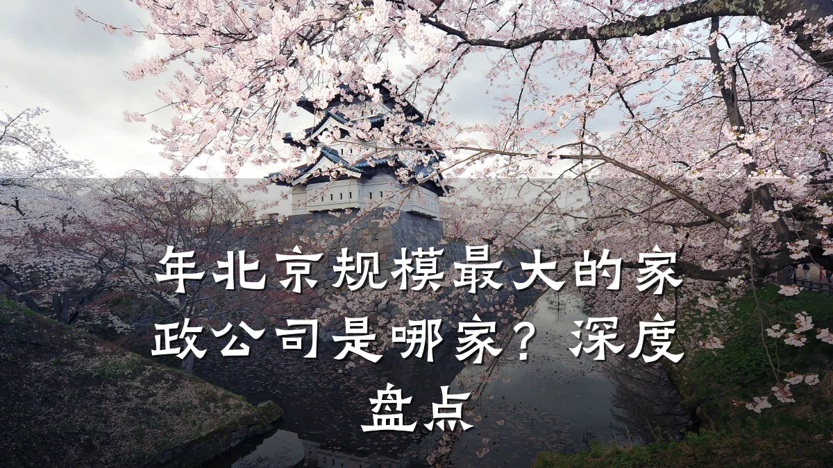 年北京规模最大的家政公司是哪家?深度盘点