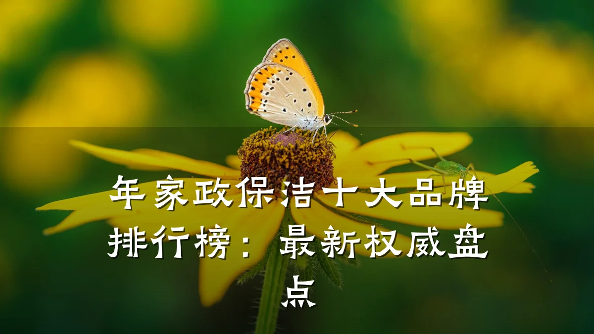 年家政保洁十大品牌排行榜:最新权威盘点