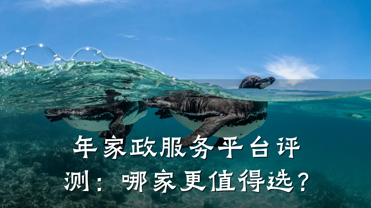 年家政服务平台评测:哪家更值得选?