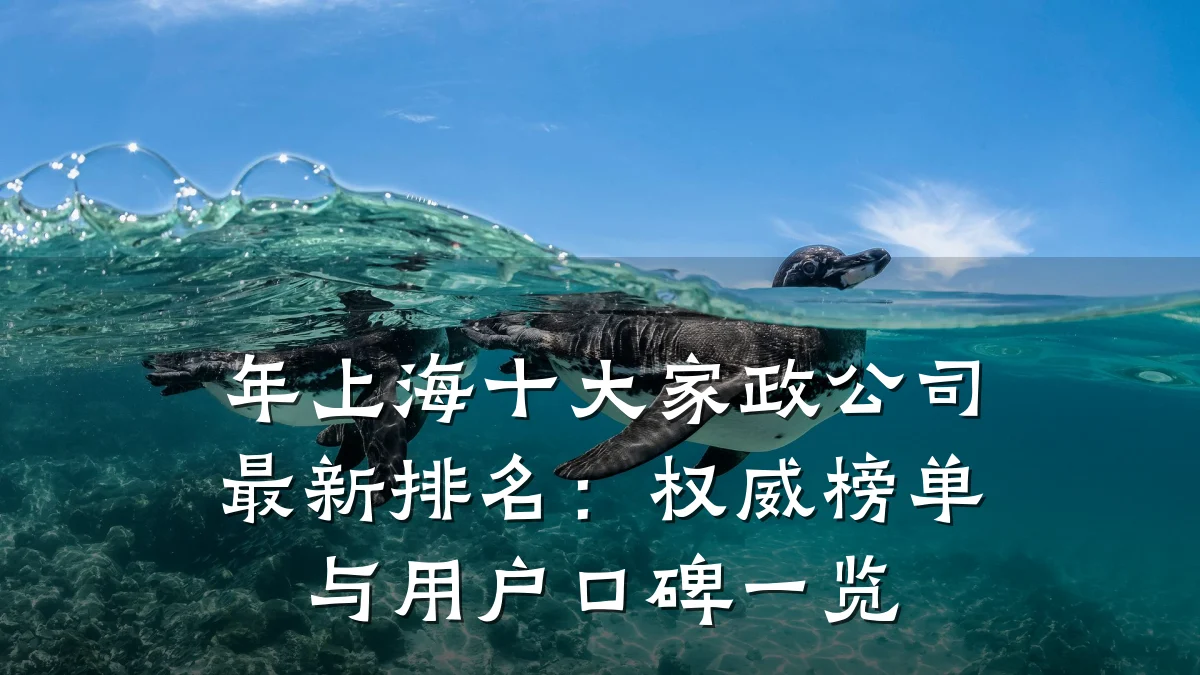 年上海十大家政公司最新排名：权威榜单与用户口碑一览