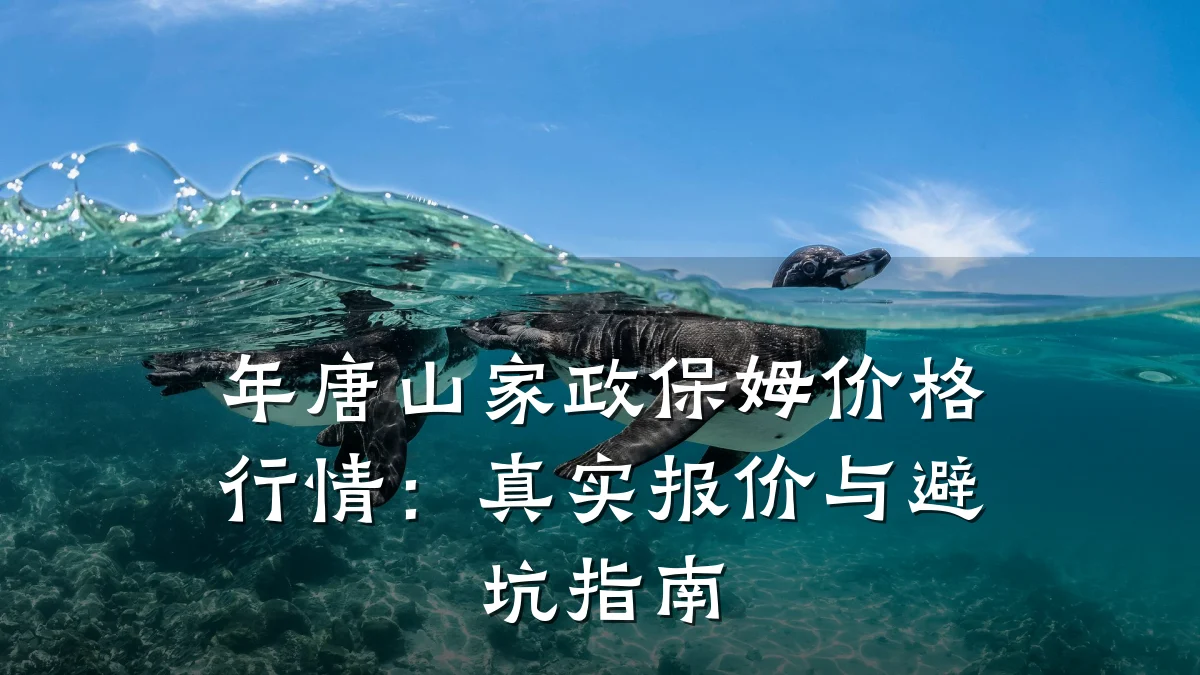 年唐山家政保姆价格行情:真实报价与避坑指南