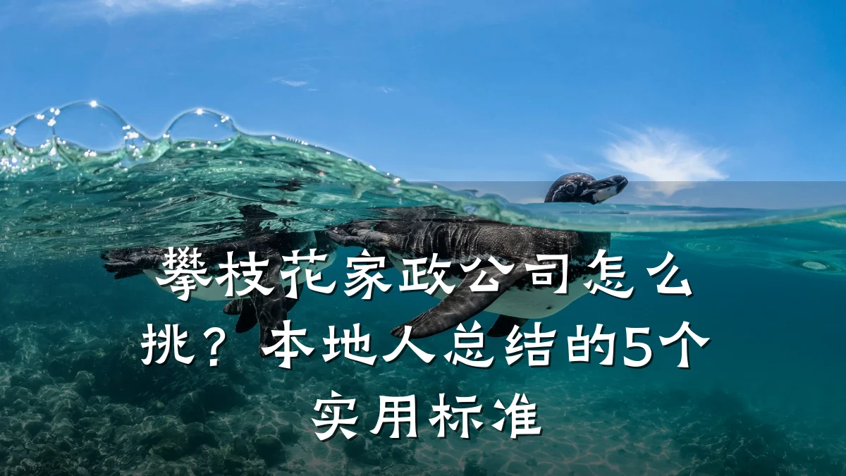攀枝花家政公司怎么挑?本地人总结的5个实用标准